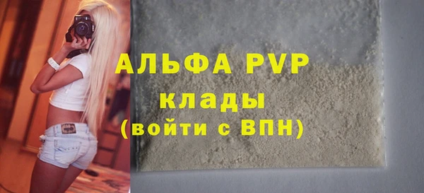 прущие грибы Ростов