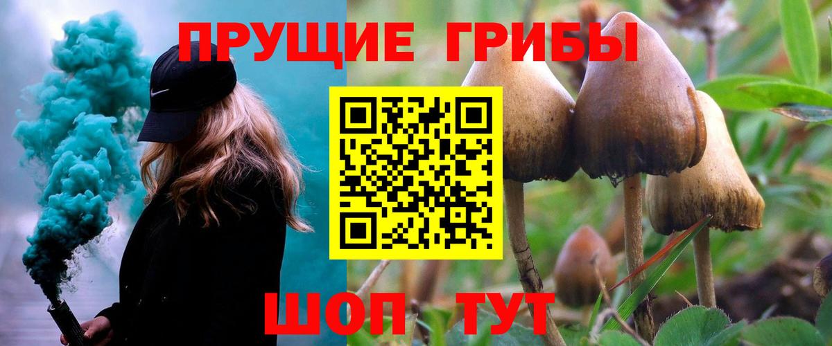 Псилоцибиновые грибы GOLDEN TEACHER  Псилоцибиновые грибы мицелий  Вход с VPN  Еманжелинск 